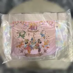 ディズニーリゾート40周年 “ドリームゴーラウンド ”スーベニアランチバッグ