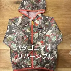 おすすめ！パタゴニア４T リバーシブルアウター