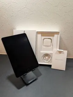 ipad mini 5 Wi-Fi 64GB スペースグレイ　美品