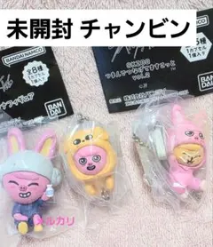 straykids skzoo チャンビン 新品未開封セット dwaekki