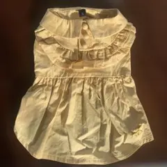 ROPÉ PICNIC ロペピクニック フリルシャツワンピ Sサイズ