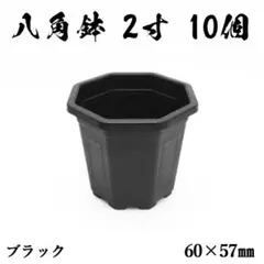 台湾鉢 八角鉢 ２寸 黒(ブラック) 10個セットのサムネイル