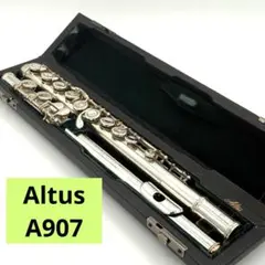2025年最新】ALTUS フルートの人気アイテム - メルカリ