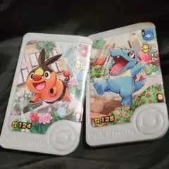 ポケモンフレンダ ベストタッグ パラレルアートピック ワニノコ ポカブ