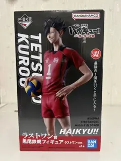 ハイキュー 一番くじ ゴミ捨て場の決戦2 ラストワン賞 黒尾鉄朗