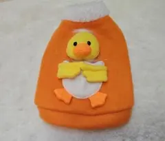 Item thumbnail for item b045a7c3-01d4-454c-9359-347e5506142b