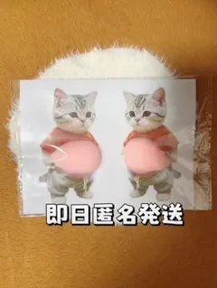 宮下喜代美様専用　ねこ 猫 ネコ おなかぷくぷくシール 3Dシール