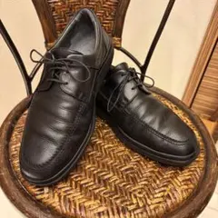 Item thumbnail for item 688200dd-c498-471e-84fe-45788163f9d3