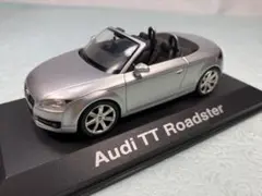 Shouco ディーラー特注　Audi TT Roadster 2006年