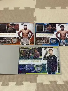 RIZIN ライジン ジャンボシールダス セット