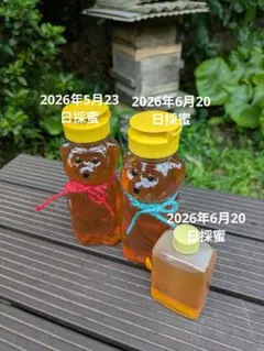 日本蜜蜂の非加熱タレ蜂蜜300g✕2 2026年6月と5月の群 おまけ蜂蜜付きのサムネイル