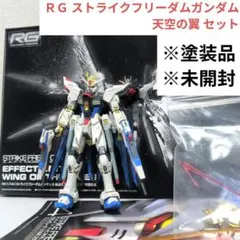 2026年最新】RG 天空の翼の人気アイテム - メルカリ