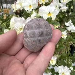 もりやま様 リクエスト 4点 まとめ商品