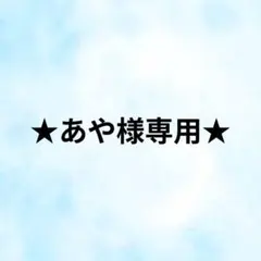 リバティ保冷＊保温ランチバッグ＆ペットボトルカバー