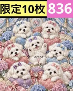 限定10枚！　レアパネル生地　無くなり次第終了です　6犬種パネル