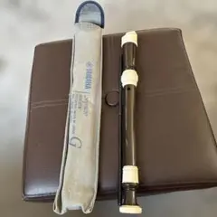 Item thumbnail for item 4f19b0cd-132b-49f0-97a5-16d0db0335bd