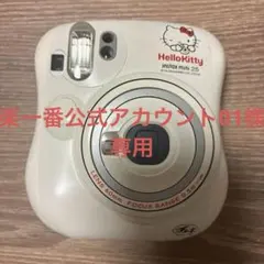 RT-133516様専用 ハローキティFujifilm チェキ
