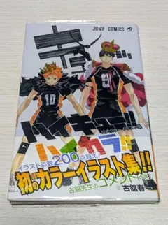 ハイキュー!! 公式カラーイラスト集 ハイカラ!!