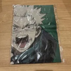 Item thumbnail for item f15f4db8-0e67-4269-a937-e09c94125c87