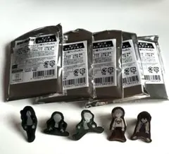 WIND BREAKER ウィンブレ ピンズコレクション 5個セット