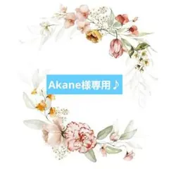 Akane様 リクエスト 2点 まとめ商品