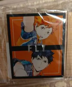 最終価格ハイキュー!! Ani-Art アクリルネーム プレート  日向 影山