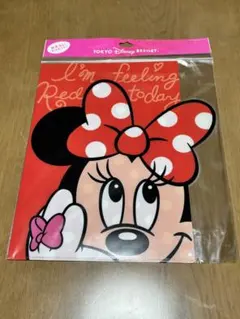 ★【東京ディズニーリゾート】 ミニーマウス クリアファイル　2枚セット