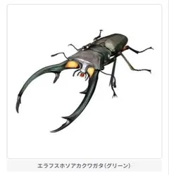 オンライン版 いきもの大図鑑 クワガタ02 エラフスホソアカクワガタ（グリーン）