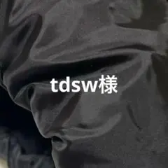 tdsw様　専用★新品★フォロー割