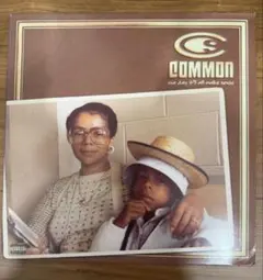Common One Day It'll All Make Sense レコード