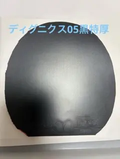 ディグニクス05