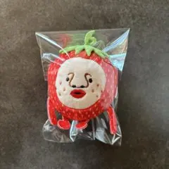 こびとづかん ぬいぐるみ マスコット