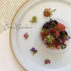 natsuko様 リクエスト 2点 まとめ商品