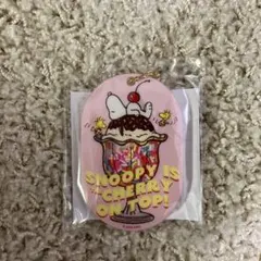 スヌーピーシャカシャカキーホルダー 非売品 PLAZA