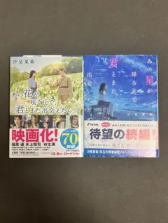 汐見夏衛　小説2点セット