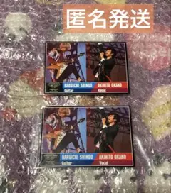 【非売品】ポルノグラフィティ ディレイビューイング 特典カード