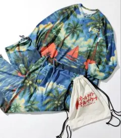 Item thumbnail for item 5217205d-e286-4c58-acd6-a33a8616284e