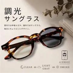 調光 サングラス べっ甲 ボストン型 グレーレンズ 伊達メガネ ボスリントンのサムネイル