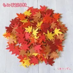 390 クラフトパンチ 秋の葉っぱシリーズ もみじ250枚 5種 ランダム