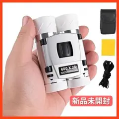 Item thumbnail for item 5470fdcd-0658-4159-8fe8-e39a418aa9eb