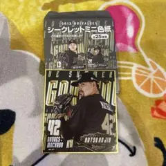 オリックスバファローズ アンドレス・マチャド シークレットミニ色紙