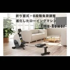 格安中古 ローイングマシン トレーニング 稼働確認済み 直接引き取り