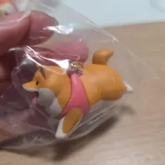 キャラメルラテ様 リクエスト 2点 まとめ商品