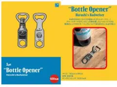 Item thumbnail for item 887dd67c-5560-4d0b-bb56-ef30a24d7451