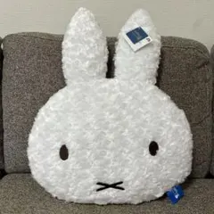 Item thumbnail for item a66a1958-5713-48bd-aebe-6c7839379f91