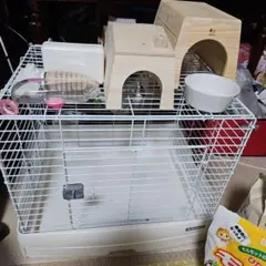 ハリネズミ飼育セット - メルカリ