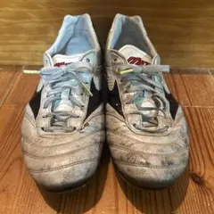 Item thumbnail for item 6be279c2-ac14-45f9-bb78-09833ac6e494