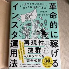革命的に稼げるインスタ運用法 カイシャイン