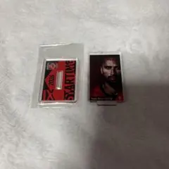 Item thumbnail for item 61b92d1c-90ce-429c-a453-104d38e307da