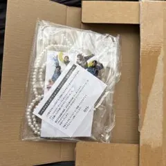 パルクロすっきゃねんず　ストラップ付マルチケース